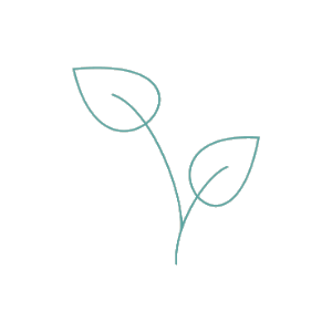Planet